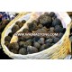 Italian White Truffle for Sale