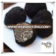 Top quality best taste mushroom truffle