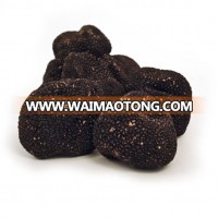 fresh truffle black truffle wild mushroom