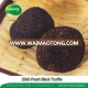 Hot Sale Wild Fresh Truffle Professional Manufacturer