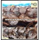 Factory wholesale truffle slice dry mushroom